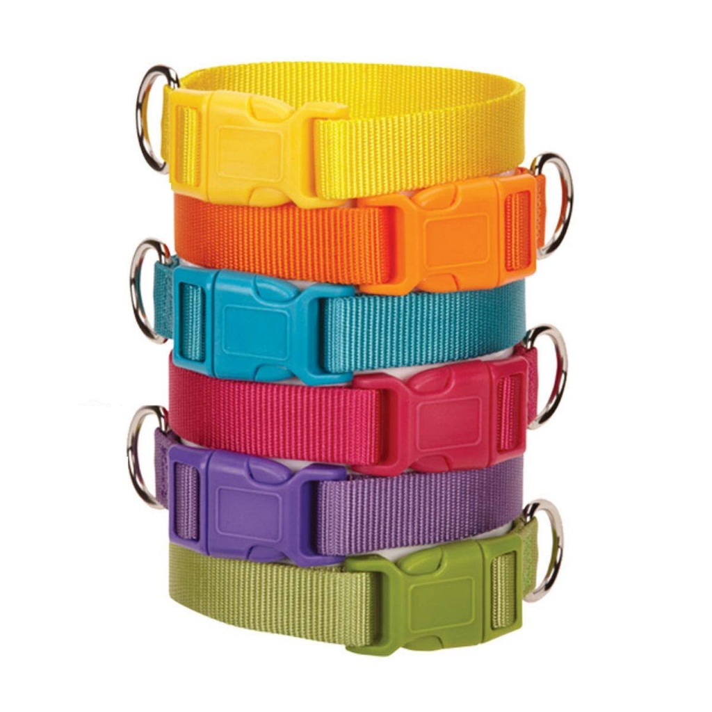 Pets.Love.Earth Nylon Dog Collar Assorted