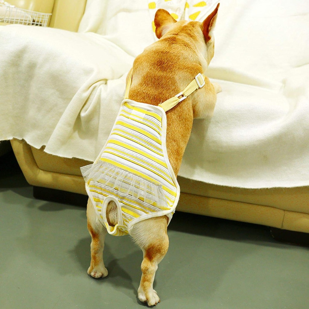 Pets.Love.Earth Physiological Pants Dog Nappies Yellow