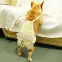 Pets.Love.Earth Physiological Pants Dog Nappies Yellow