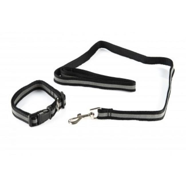 Pets.Love.Earth Reflective Collar and Lead