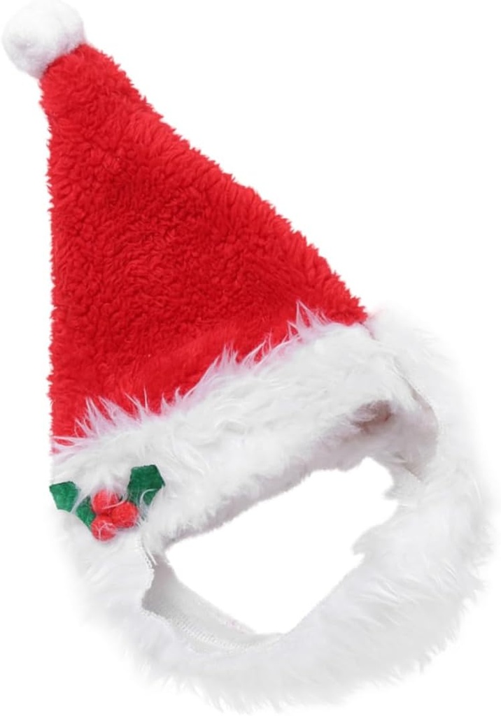 Pets.Love.Earth Santa Hat