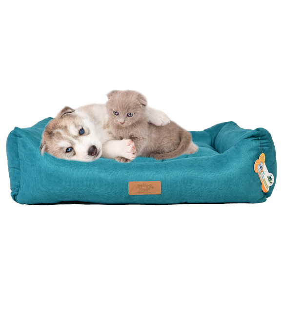 Pets.Love.Earth Cookie Series Turquoise