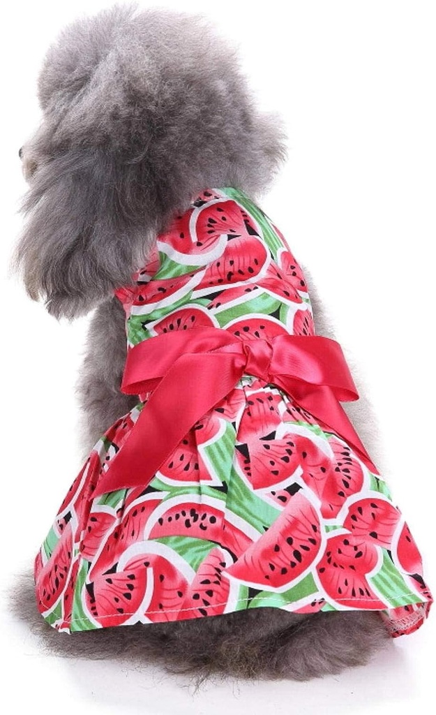 Pets.Love.Earth Watermelon Cocktail