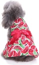 Pets.Love.Earth Watermelon Cocktail