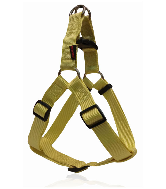 Pet Interest Dog Harness