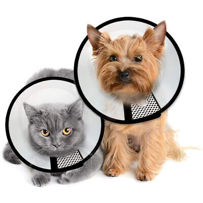 Pawise Pet E-collar