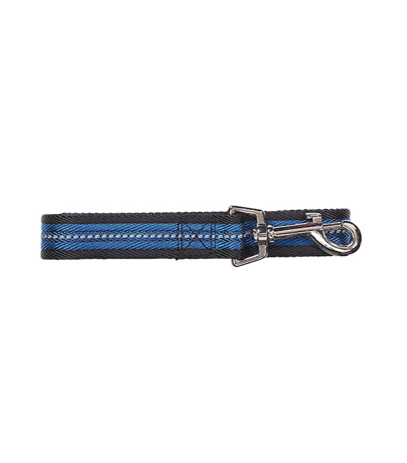 Pawise Dog Reflective Leash Blue