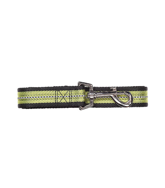 Pawise Dog Reflective Leash Green