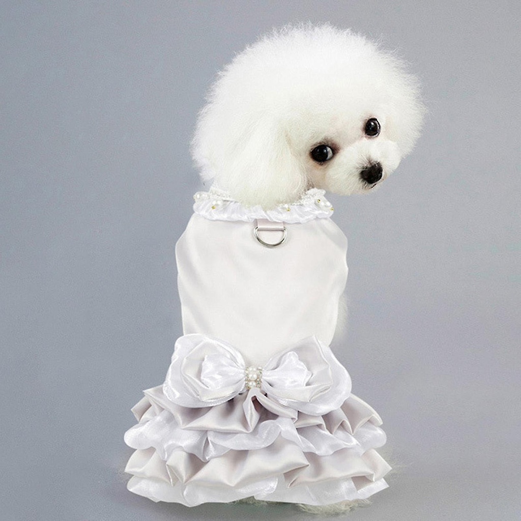 Pets.Love.Earth Silver Dress With Leash