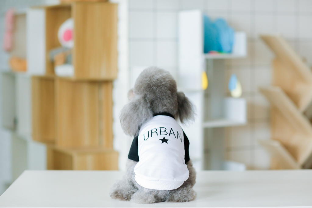 Pets.Love.Earth Urban Half sleeve Black