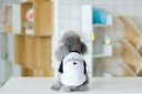 Pets.Love.Earth Urban Half sleeve Black