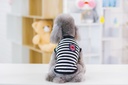 Pets.Love.Earth Strap Vest Black
