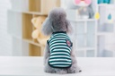 Pets.Love.Earth Strap Vest Green