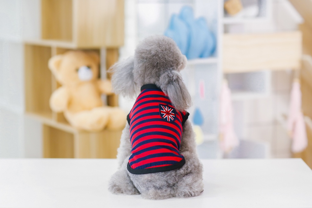 Pets.Love.Earth Strap Vest Red