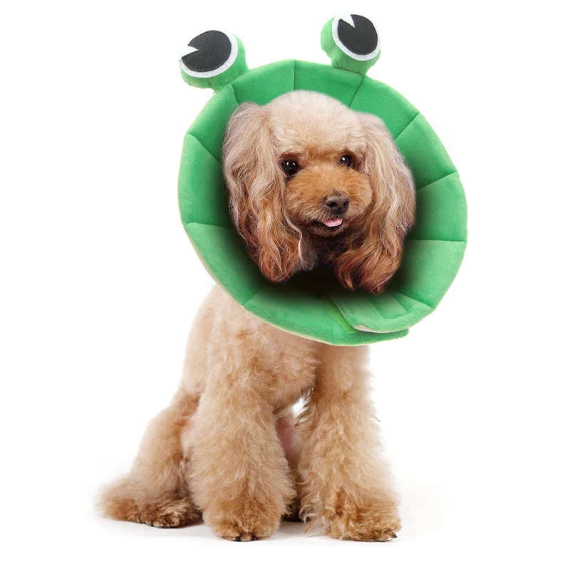 Pets.Love.Earth Soft E-Collar - Frog