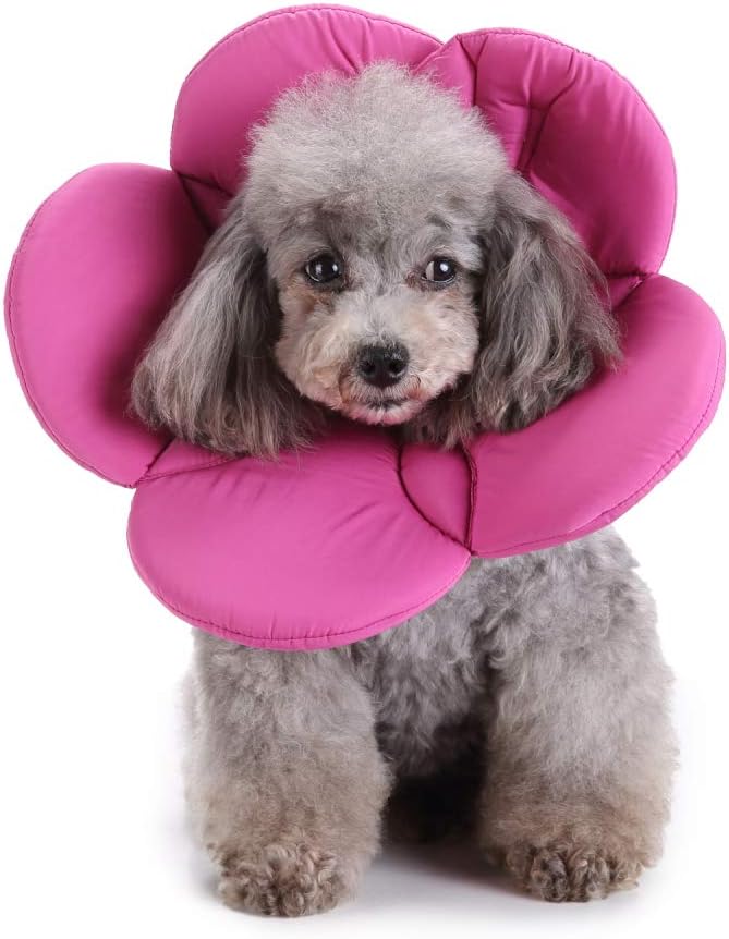 Pets.Love.Earth Soft E-Collar - Flower Purple