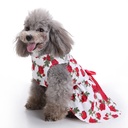 Pets.Love.Earth White with Roses Ribbon Cozy Sleeveless Dress Red