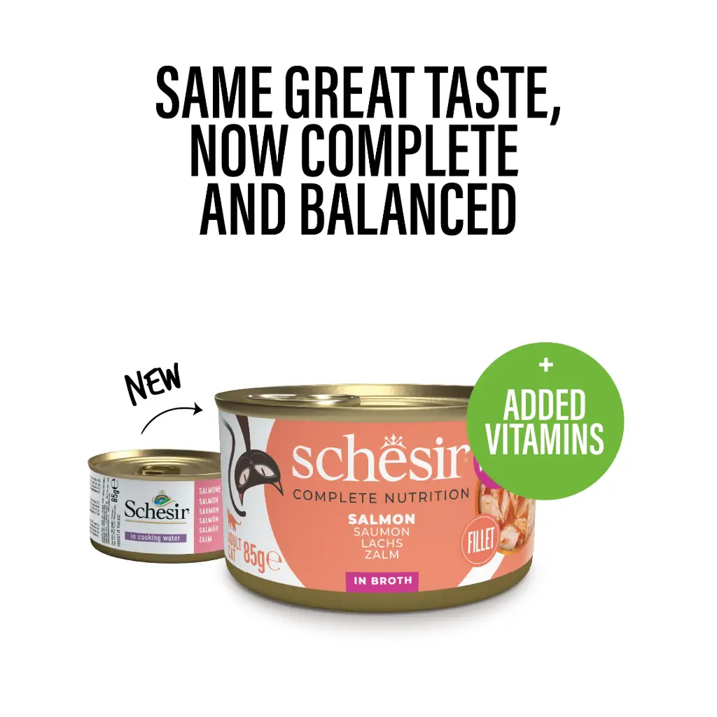 Schesir Cat Can Salmon In Broth 85g