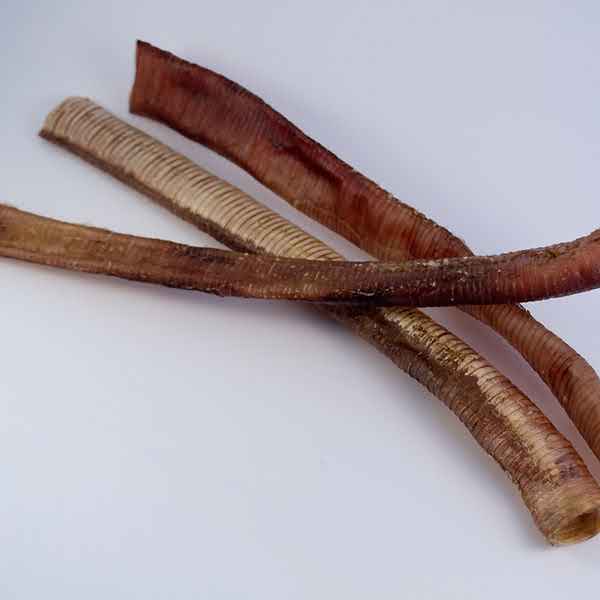 Natural Protein Ostrich Chewy Windpipe 100g 1Pk