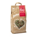Bunny My Favorite Hay Strawberry &amp; Peppermint For Dwarf Rabbits and Rodents 100g