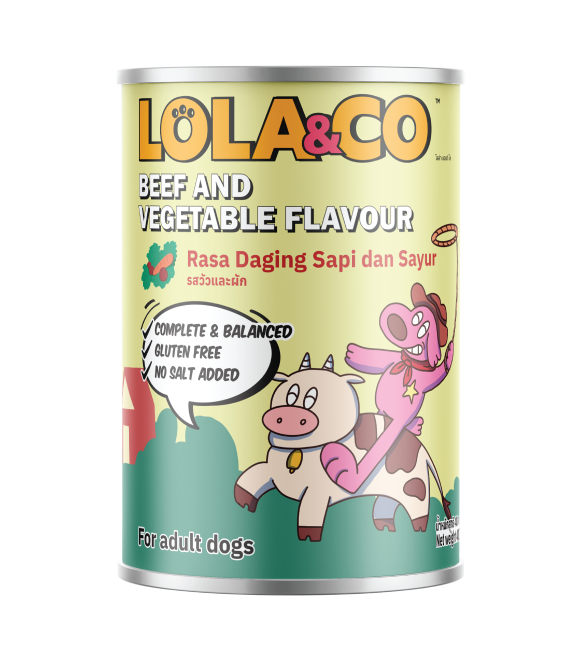 LOLA & CO Beef with Vegetable Flavour For Dogs Can 400g