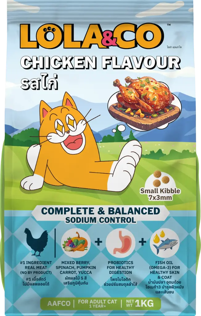 LOLA & CO Cat Dry Food – Chicken Flavour
