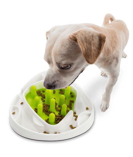 [847922032005] All For Paws Interactive-Food Maze