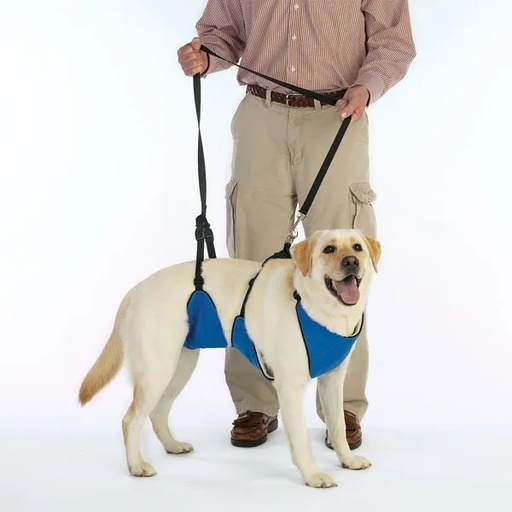 [721343470229] Guardian Gear Lift &amp; Lead 4in1 XXL Blu