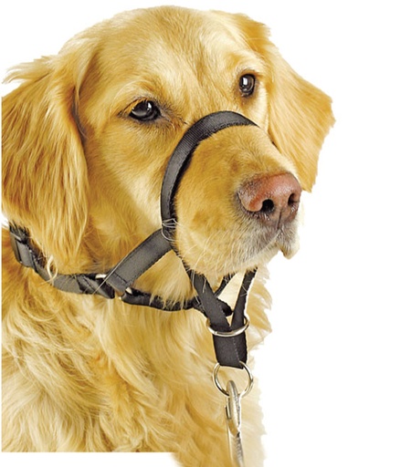 [8886467530272] Pawise DOG Head Collar BLACK 7 M special