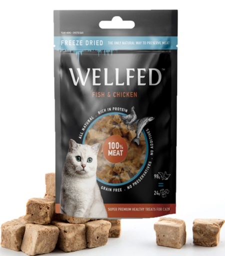 [5206819021532] Pet Interest Wellfed Fish & Chicken Cat Treats 24g