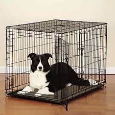 [721343609940] Proselect Easy Crate w/Double Door Large ( 31 H x 42 W x 28 L)