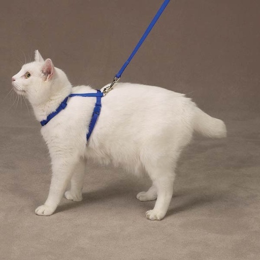 [721343274575] Savvy Tabby Nylon Cat Harness, 3/8-Inch, Nautical Blue