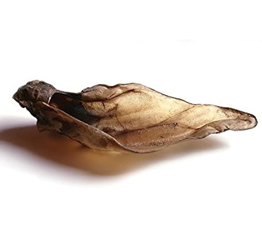 [123456700337] JR Cow Ears XL 1 Pcs