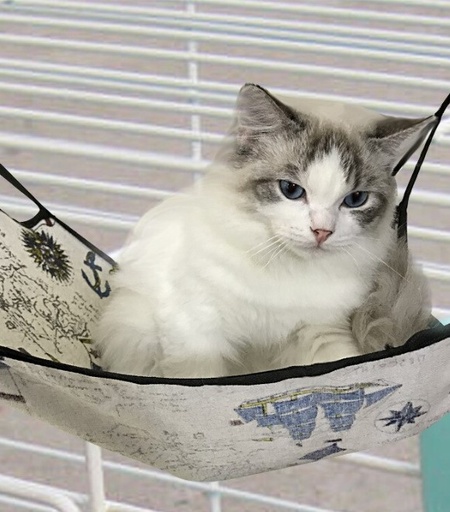 [635934610652] Pets.Love.Earth Linen cat hammock