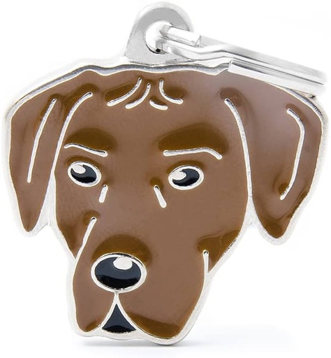 [8055960254699] My Family Friends ID Tag - Rhodesian Ridgeback