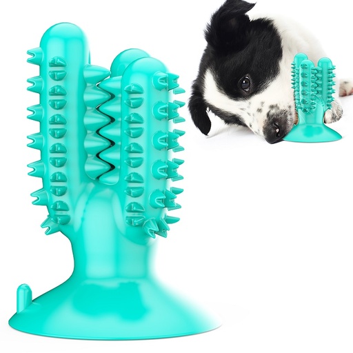 Pet Interest Cactus Dog Dental Chew Toy Accua