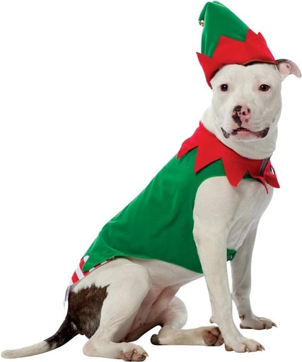 Pets.Love.Earth Christmas clown costume