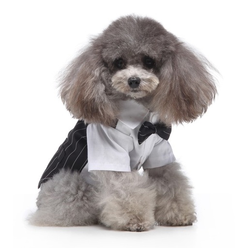 Pets.Love.Earth Gentleman Costume Black