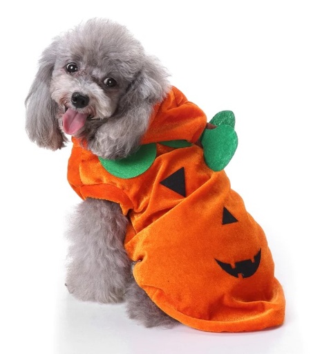 Pets.Love.Earth Pumpkin costume