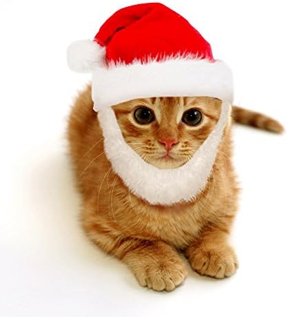 Pets.Love.Earth Santa Hat With Beared