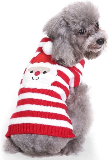 Pets.Love.Earth Santa Sweater