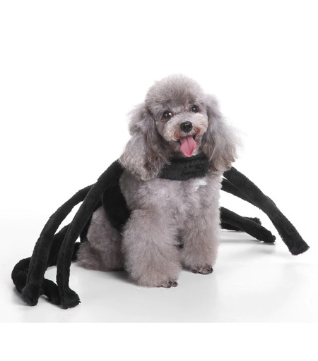 Pets.Love.Earth Spider Suit 