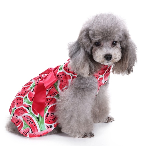 Pets.Love.Earth Watermelon Cocktail Dress