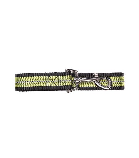 Pawise Dog Reflective Leash Green