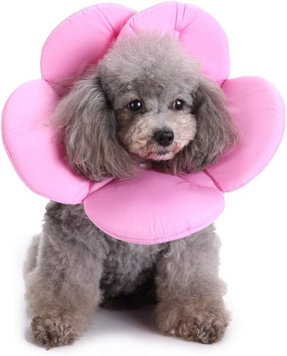 Pets.Love.Earth Soft E-Collar - Flower Pink