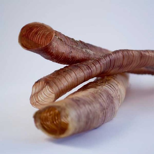 [6009696842998] Natural Protein Ostrich Chewy Windpipe 100g 10Pk