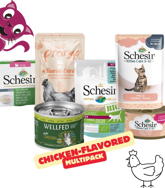 Chicken-Flavoured Multipack for Kitten | Pet Arabia